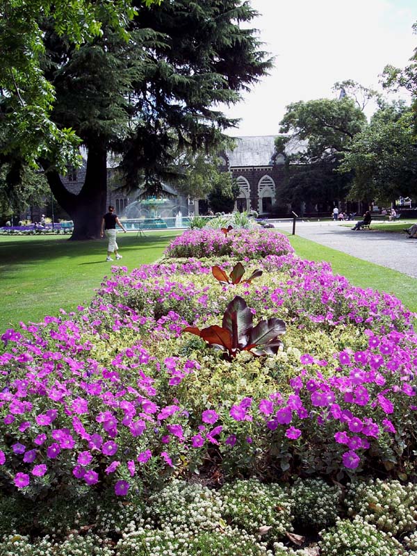 2006_02_024NewZealand009