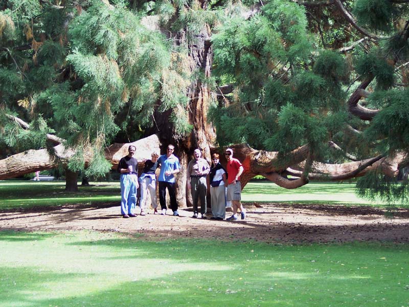 2006_02_024NewZealand011