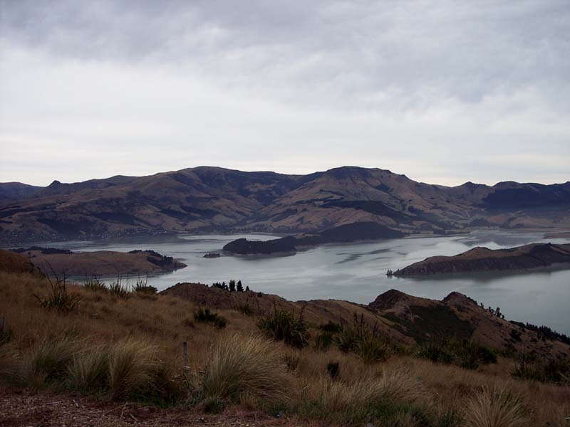 2006_02_024NewZealand024