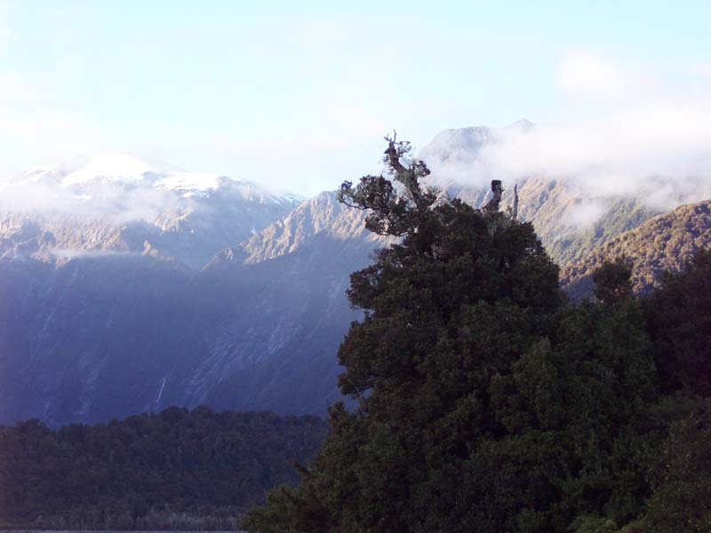 2006_02_024NewZealand081