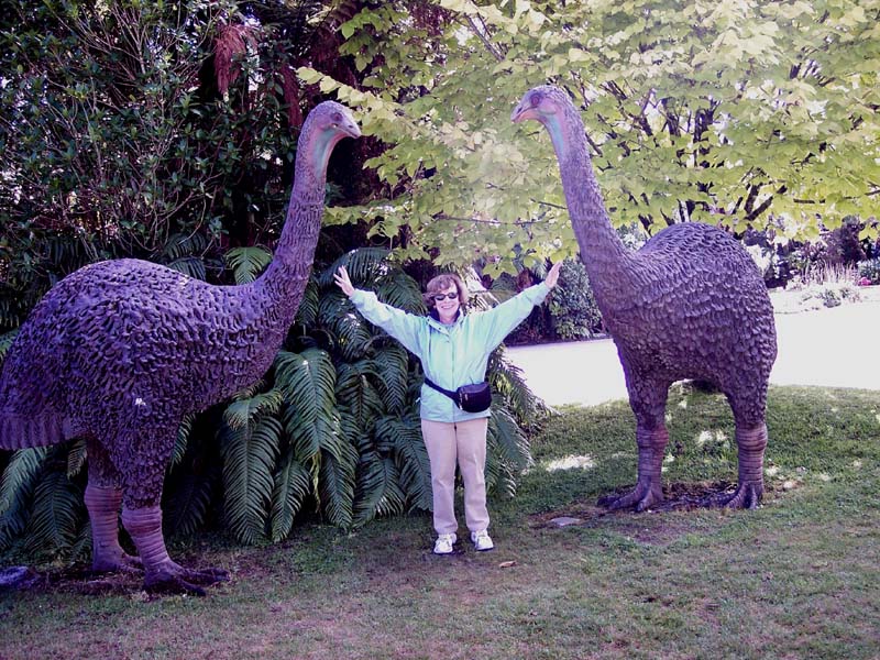 2006_02_024NewZealand119