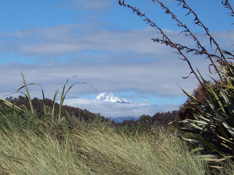 2006_02_024NewZealand122