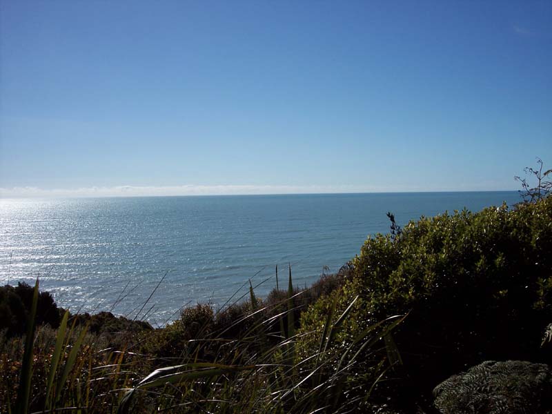 2006_02_024NewZealand126