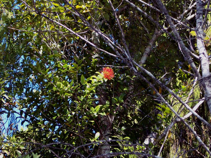 2006_02_024NewZealand129