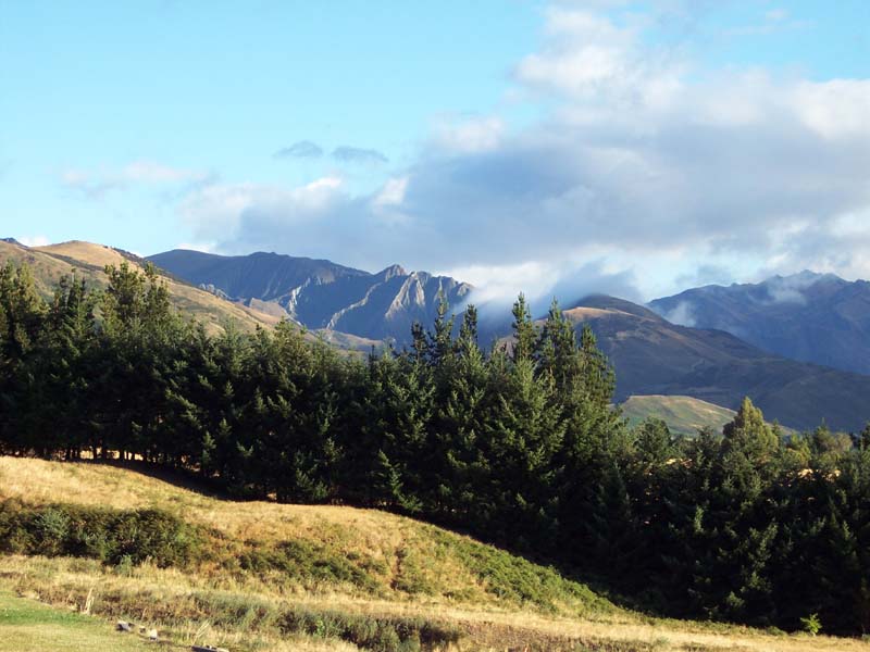 2006_02_024NewZealand162