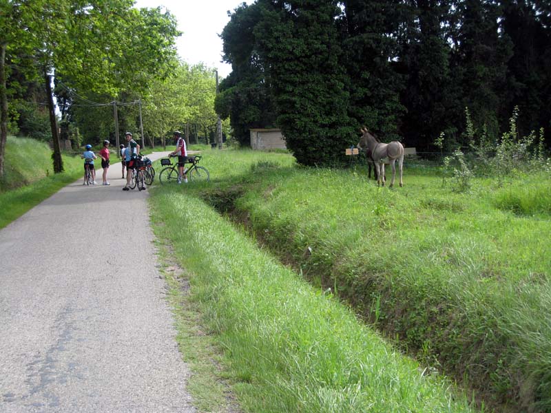 2008_06_01_Provence & Spain 1210