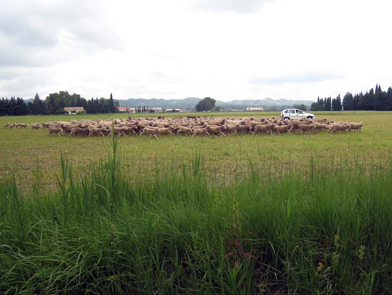 2008_06_01_Provence & Spain 1230