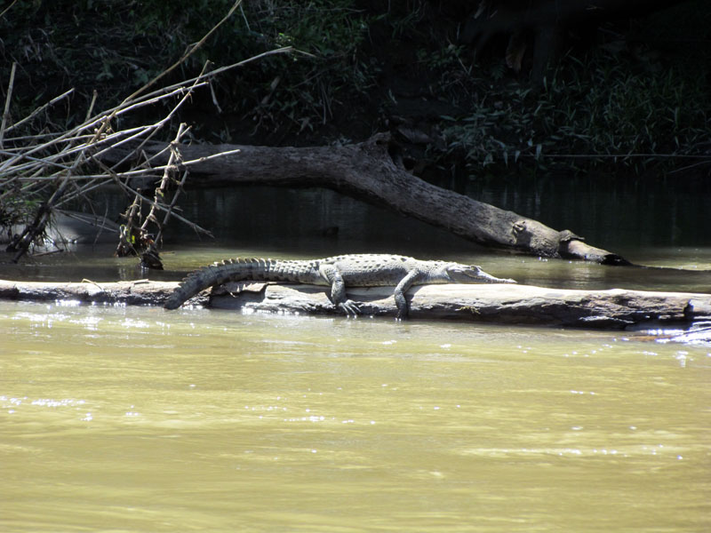 2011-03-02 Costa Rica 046